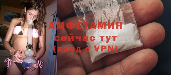 мдпв Дмитриев