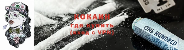 мдпв Дмитриев