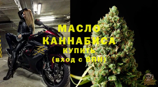 мдпв Дмитриев