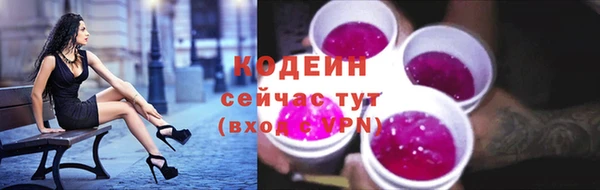 мдпв Дмитриев