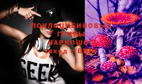 mdma Дмитровск