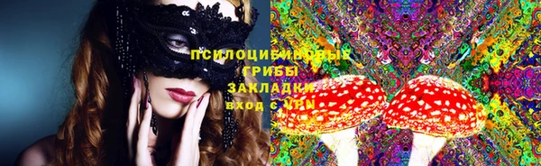 мдпв Дмитриев