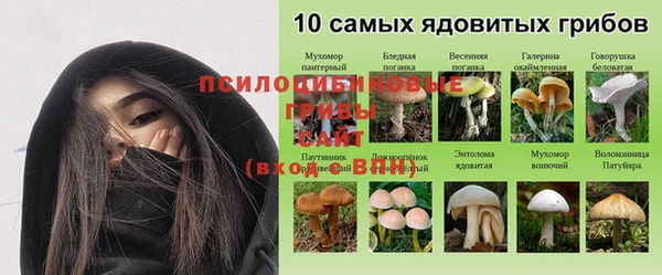 мдпв Дмитриев