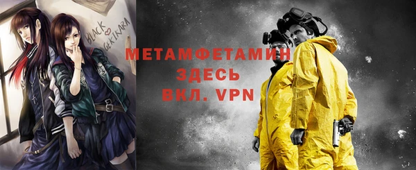 мдпв Дмитриев
