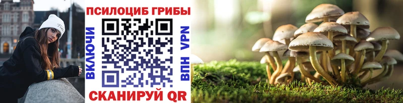 Псилоцибиновые грибы Psilocybe  Купить  Баймак 