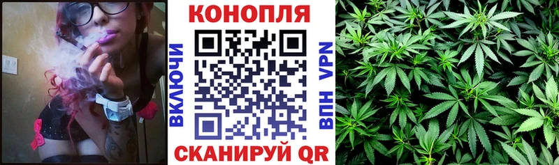 Купить где  Баймак  Каннабис планчик 